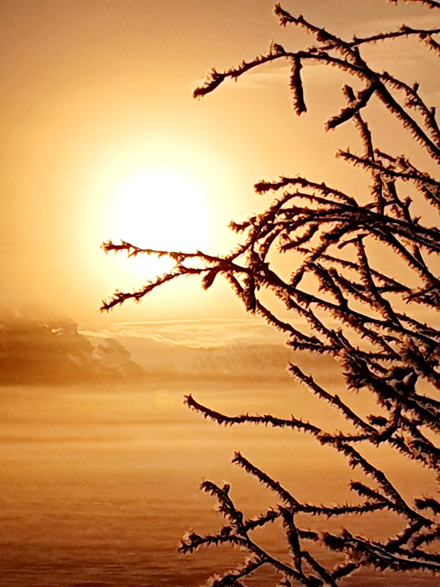 bewusste-auszeit-natur_017