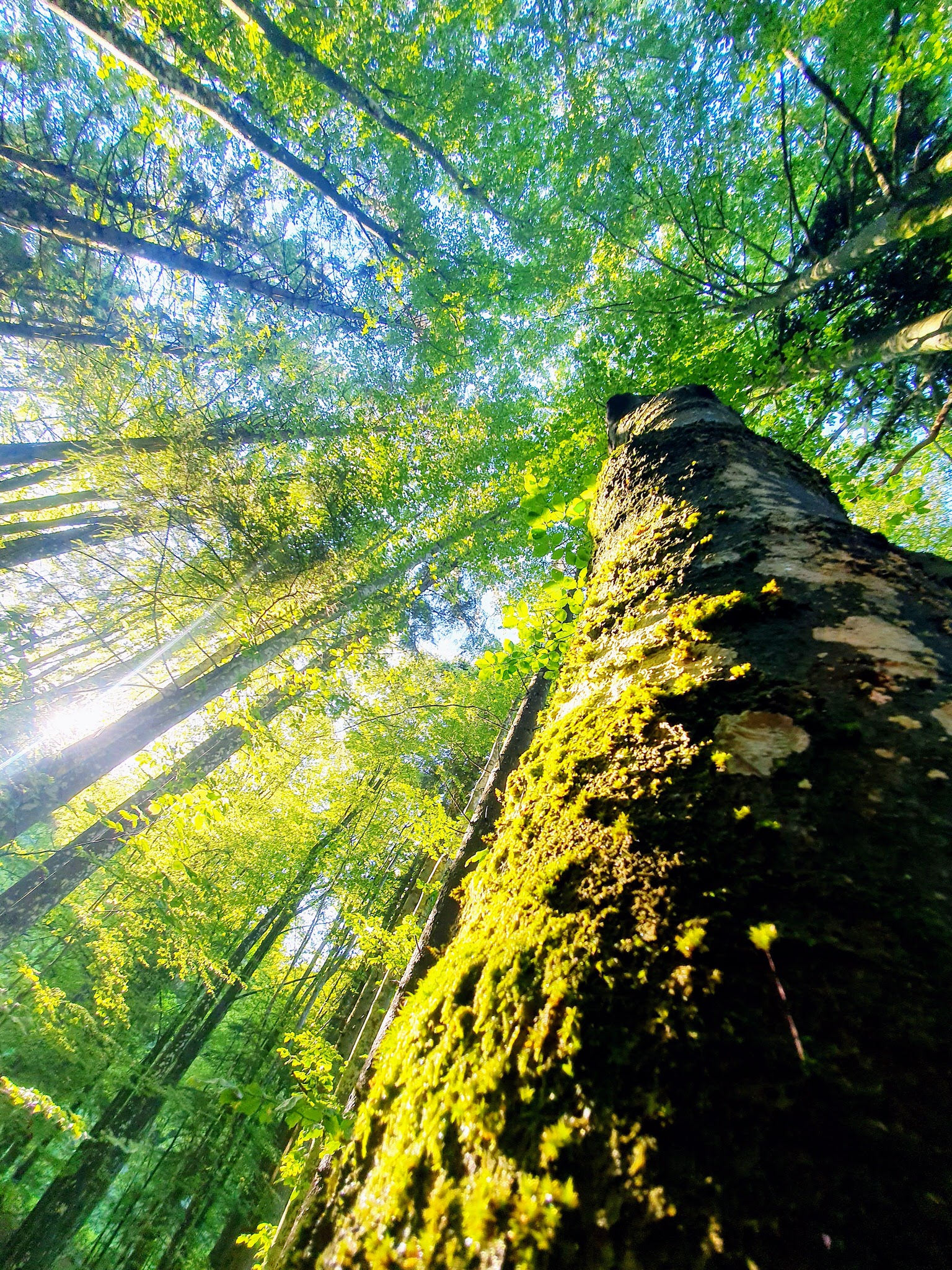 bewusste-auszeit-natur_081